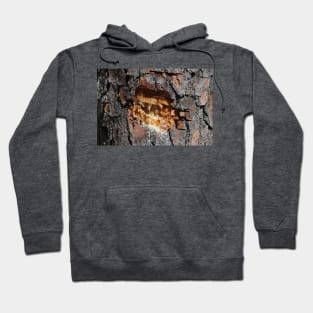 Pine Tree Sap Hoodie